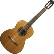 Perez 610 Cedar LTD фото